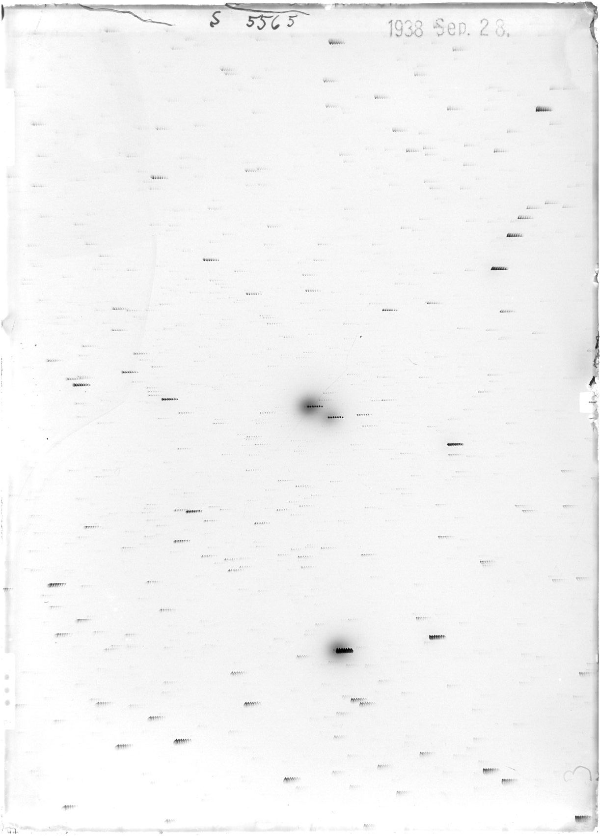 Scan ST05565