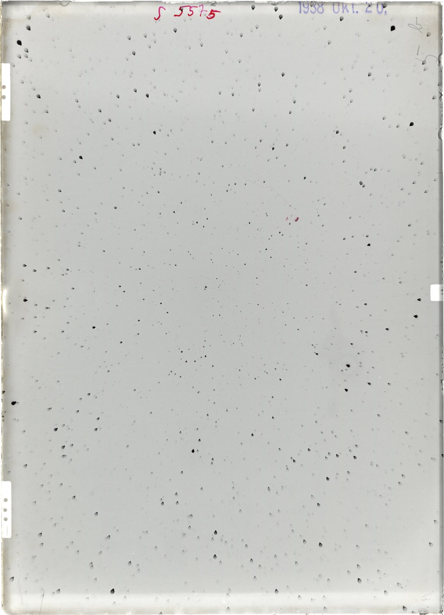 Scan ST05575