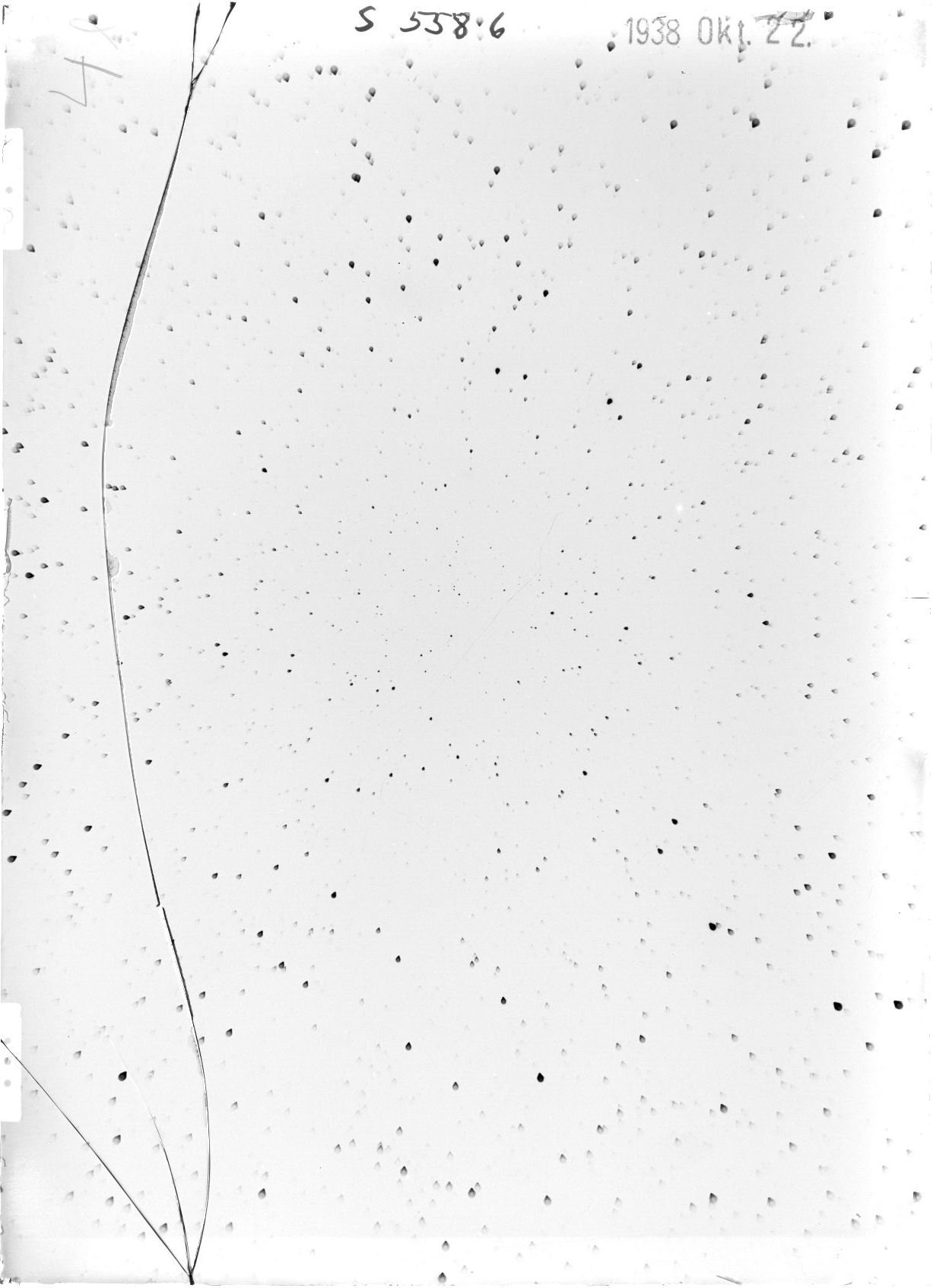 Scan ST05586