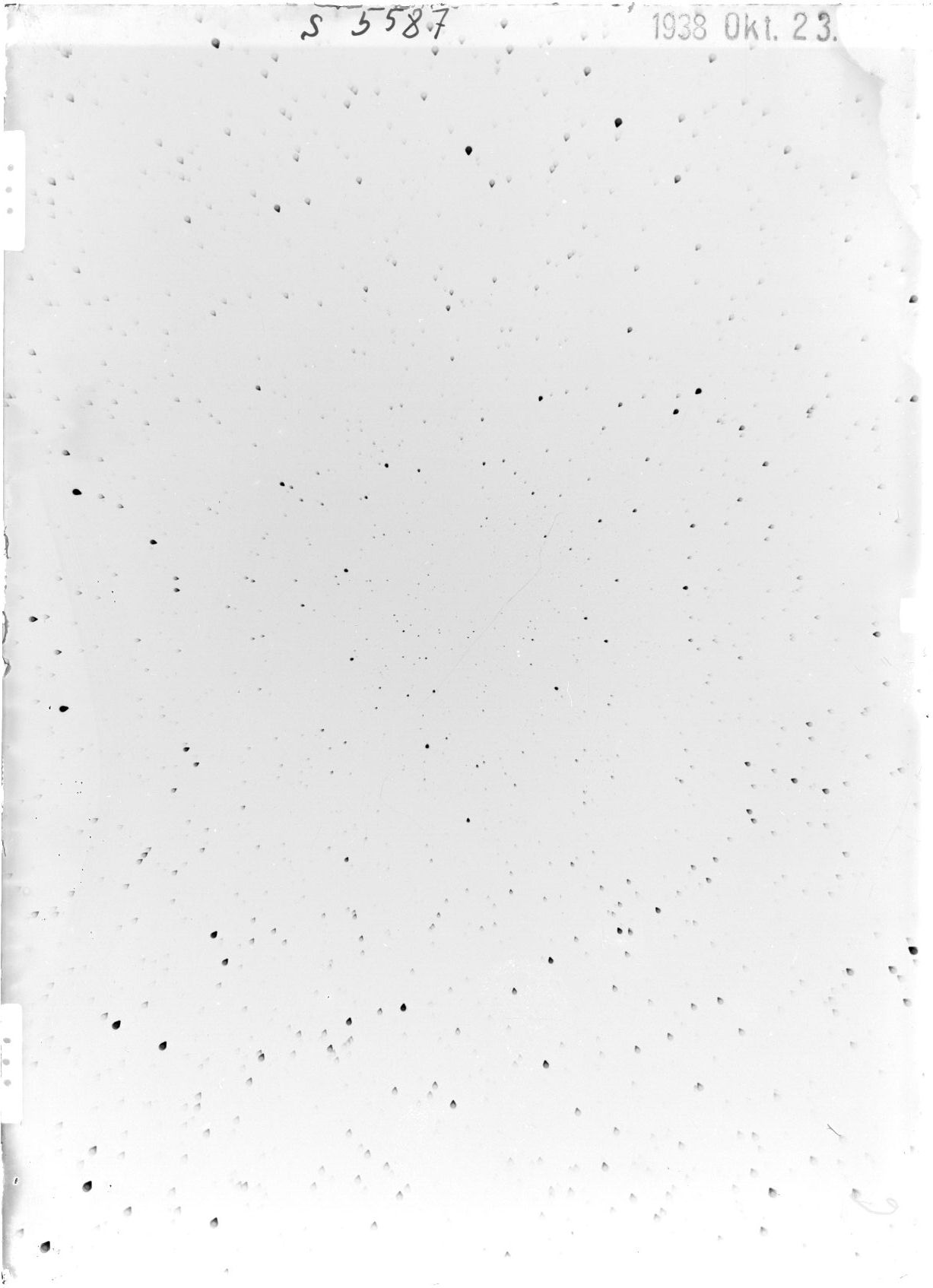 Scan ST05587