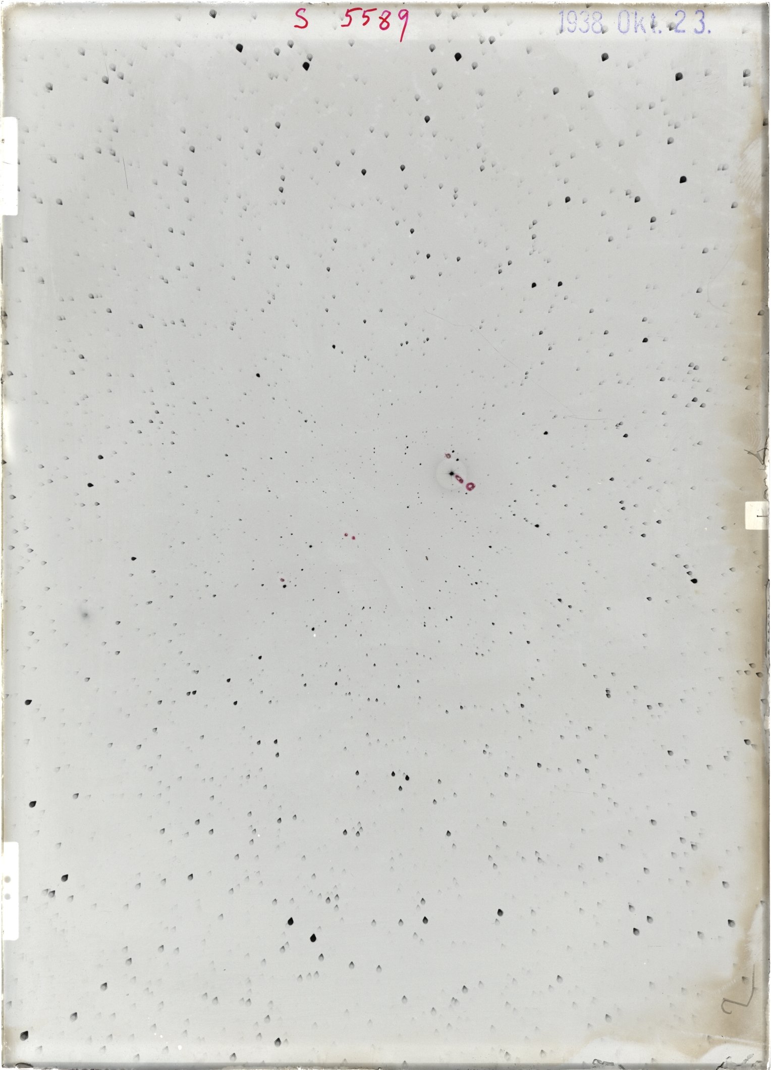 Scan ST05589