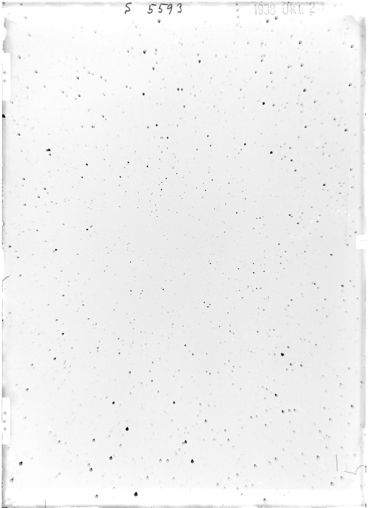 Scan ST05593