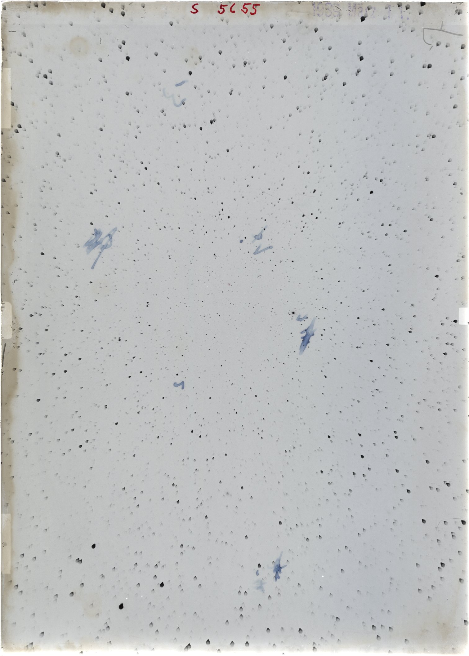 Scan ST05655