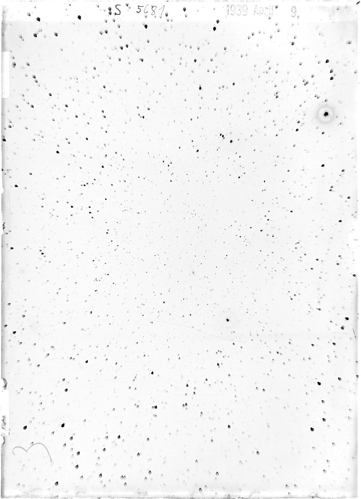 Scan ST05681
