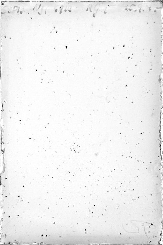 Scan ST05813