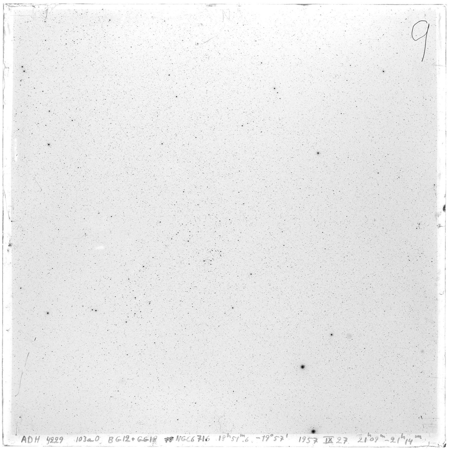 Scan A4229