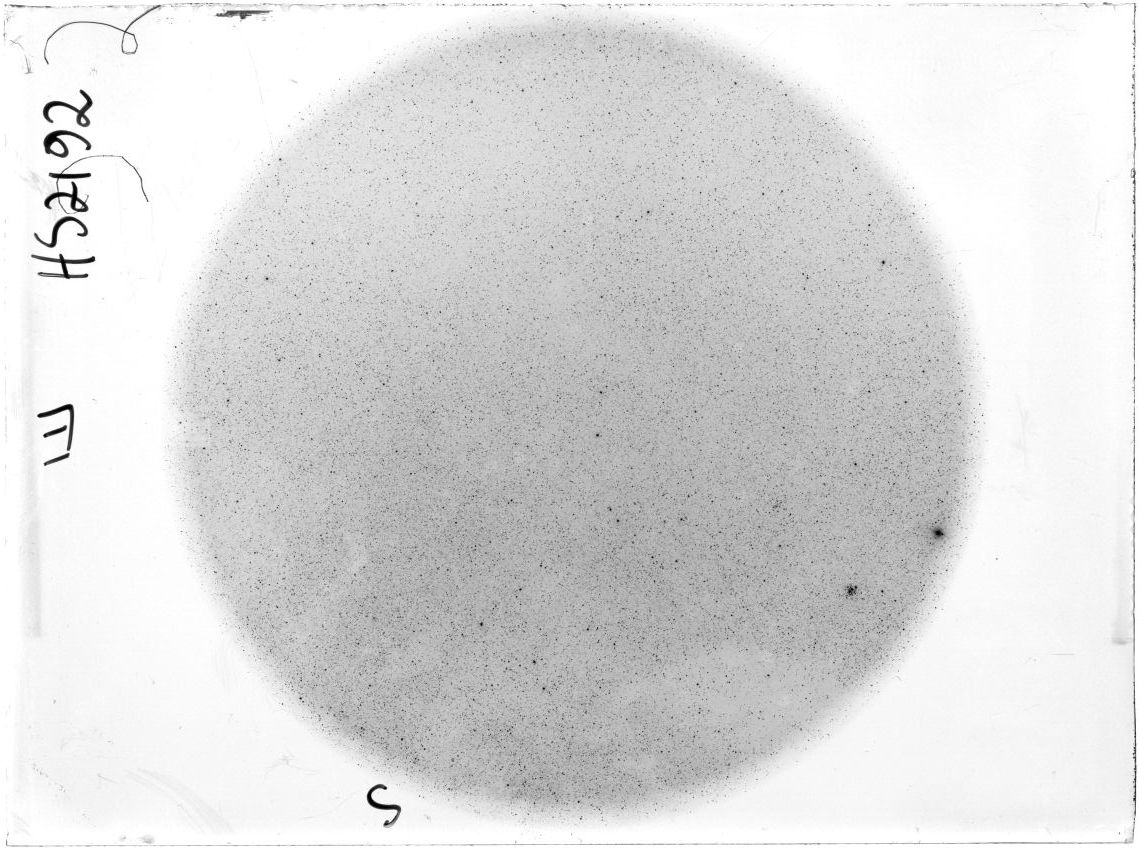 Scan KSB2192