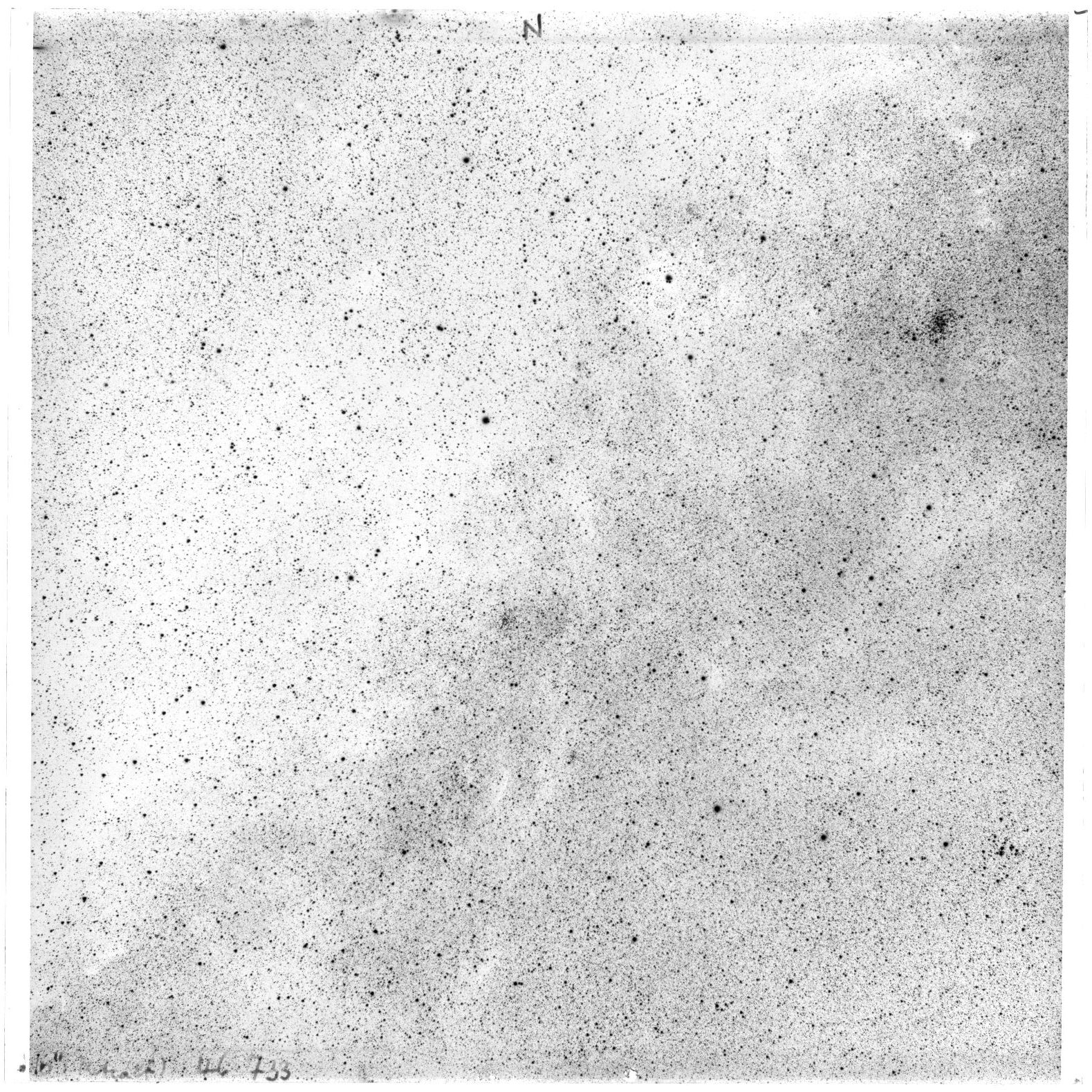 Scan 46733