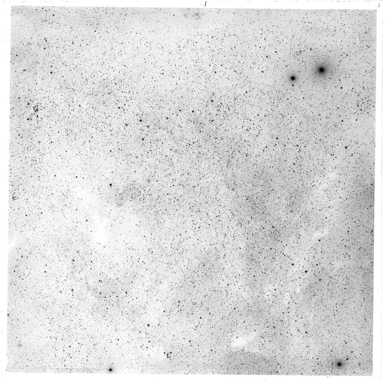 Scan 46743