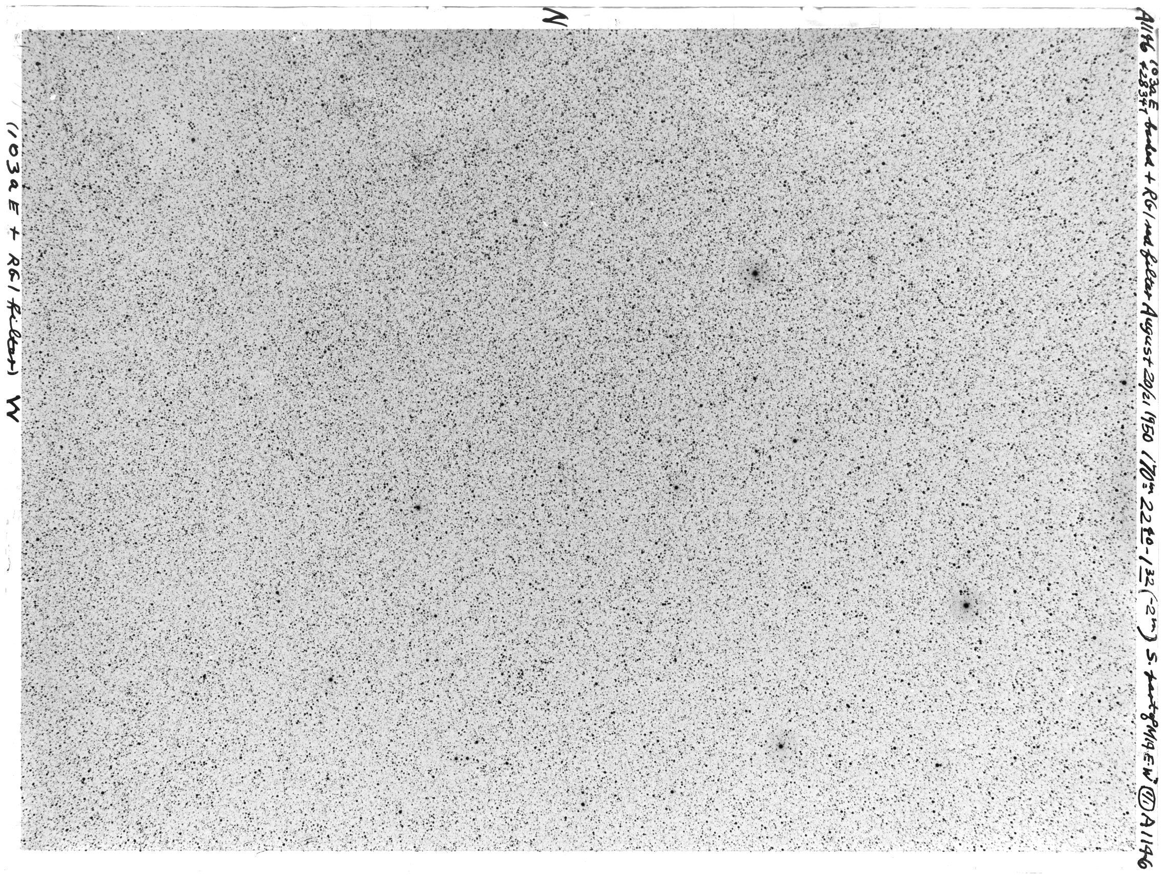 Scan VOA1146