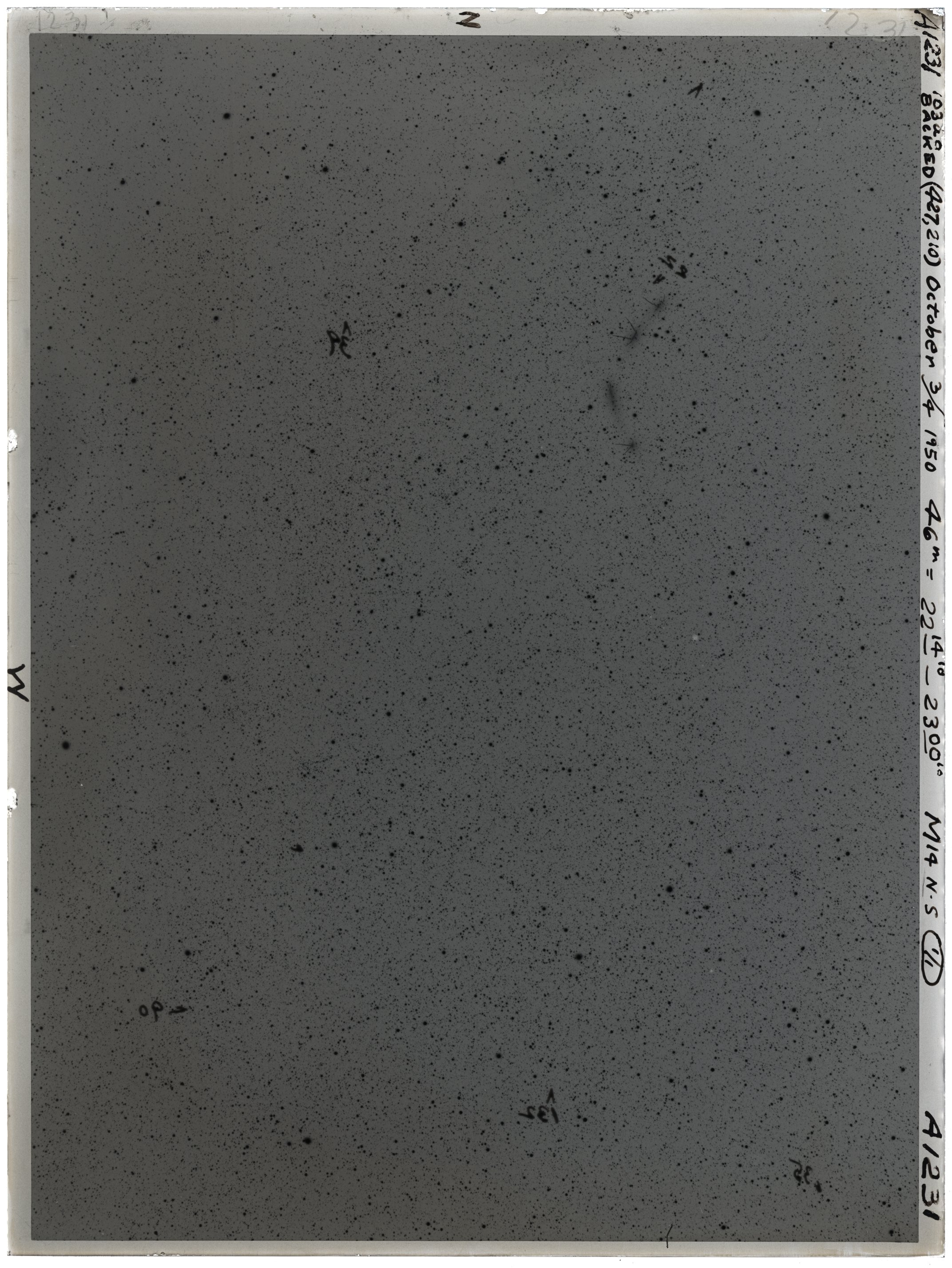 Scan VOA1231