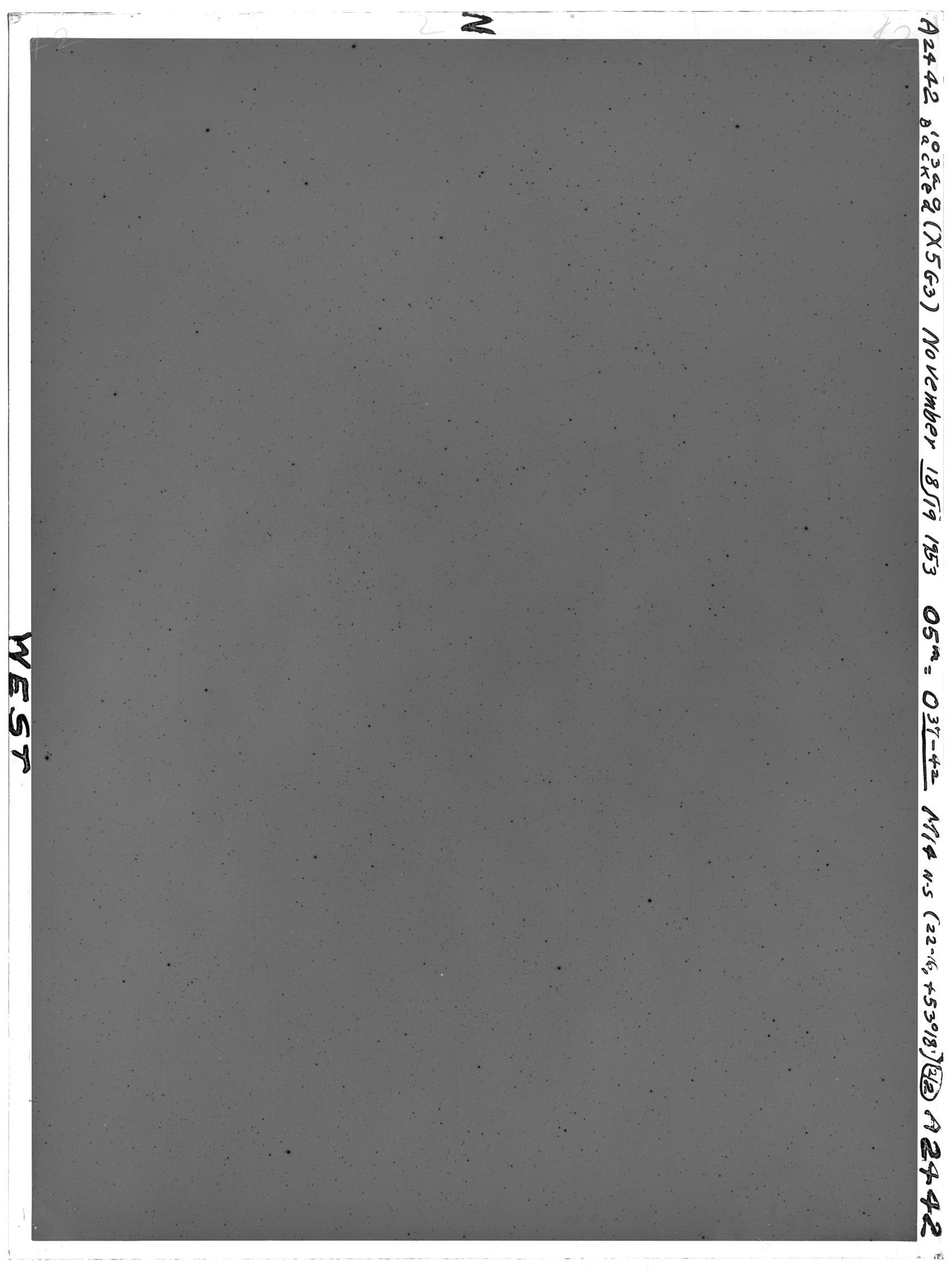Scan VOA2442