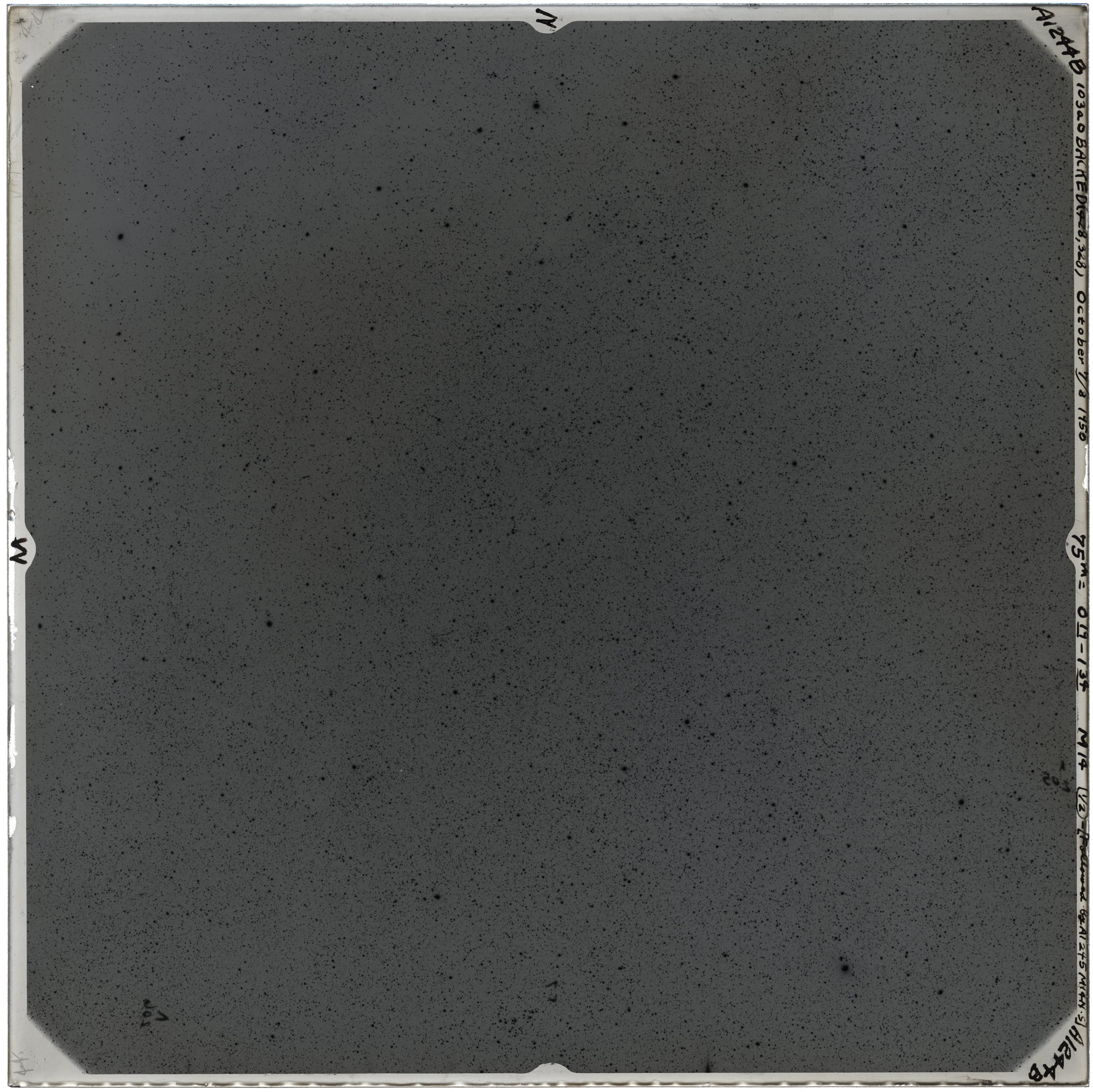 Scan VOA1244B
