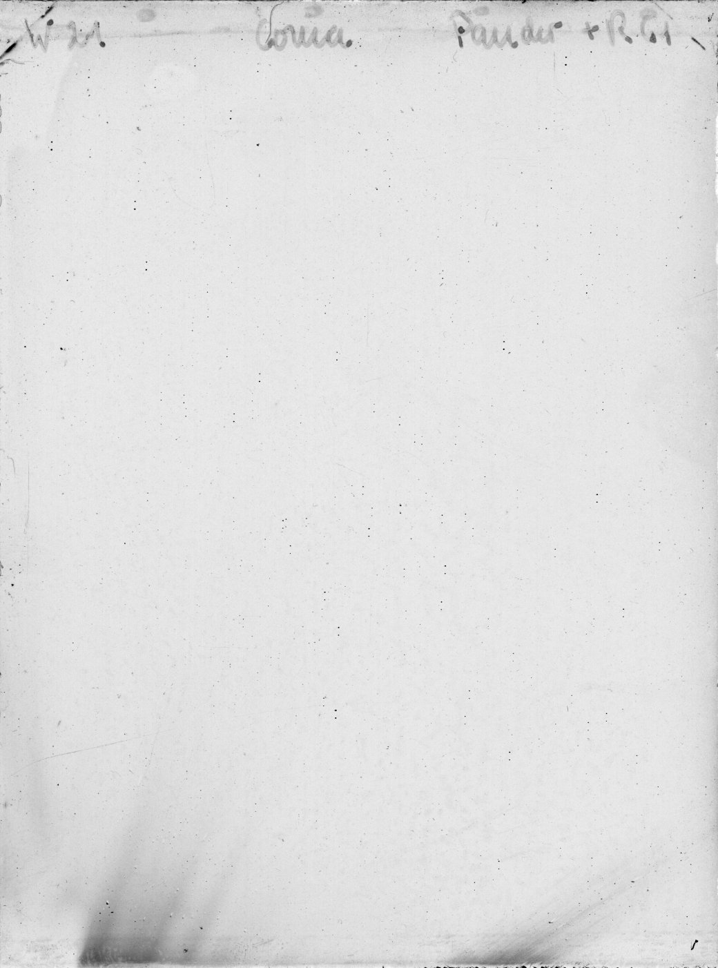 Scan WP00021