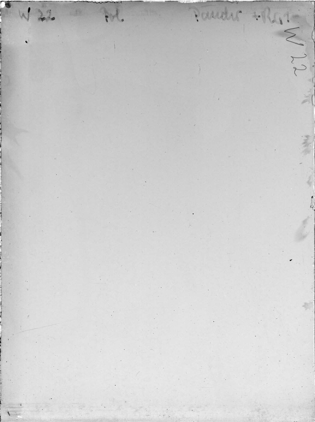 Scan WP00022