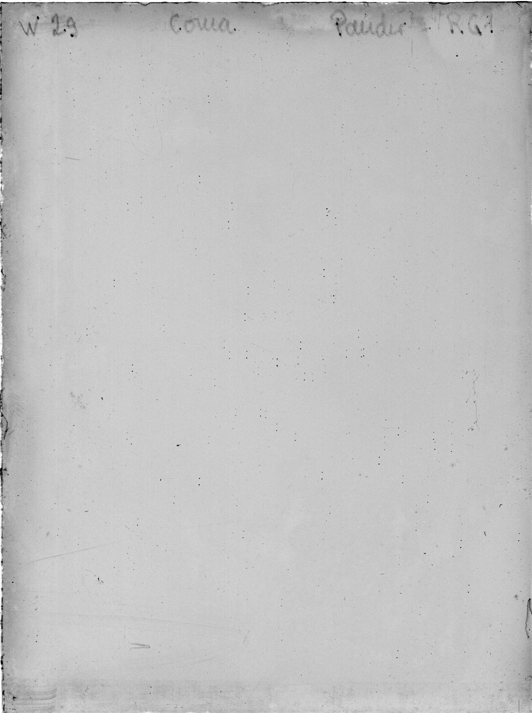 Scan WP00029