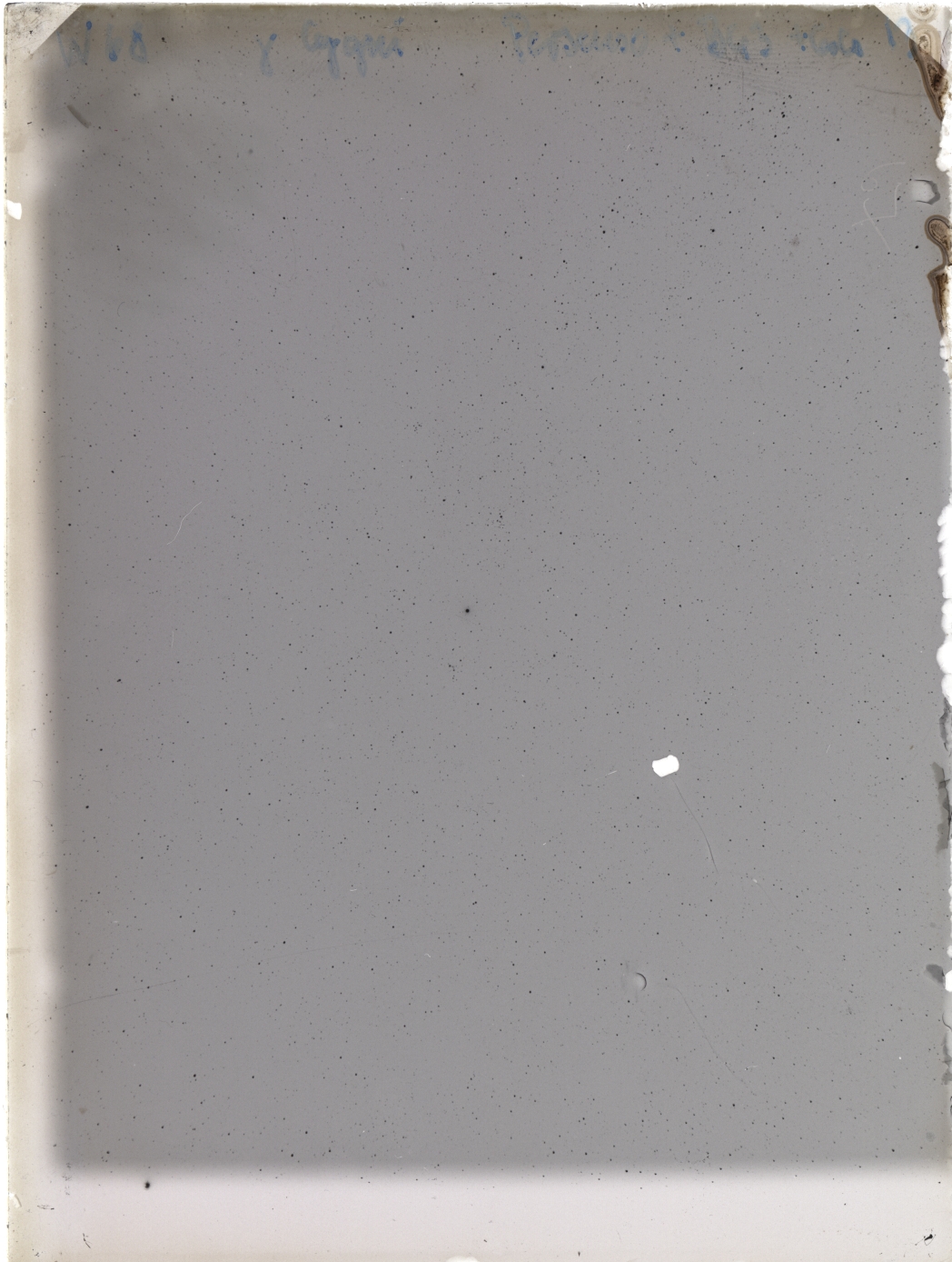 Scan WP00068