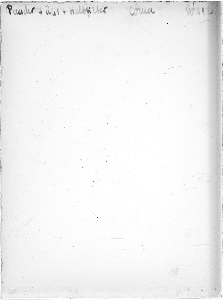 Scan WP00182