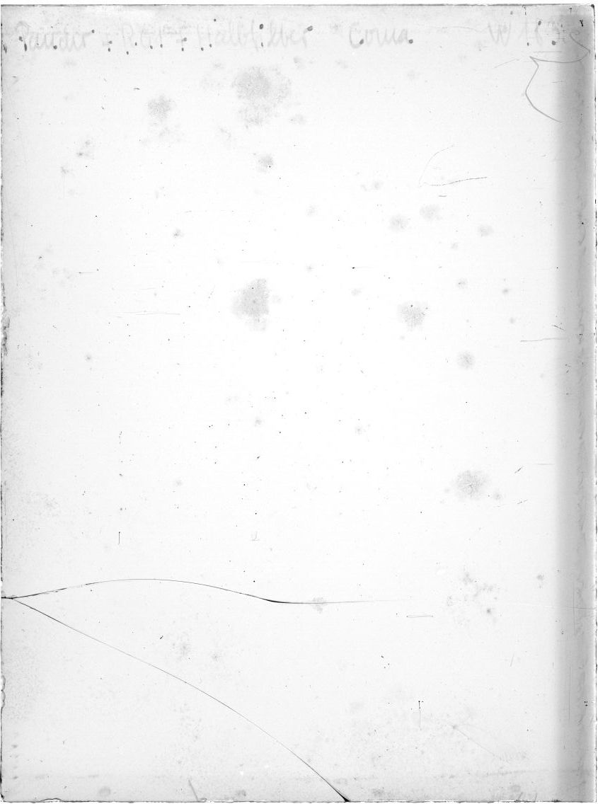 Scan WP00183