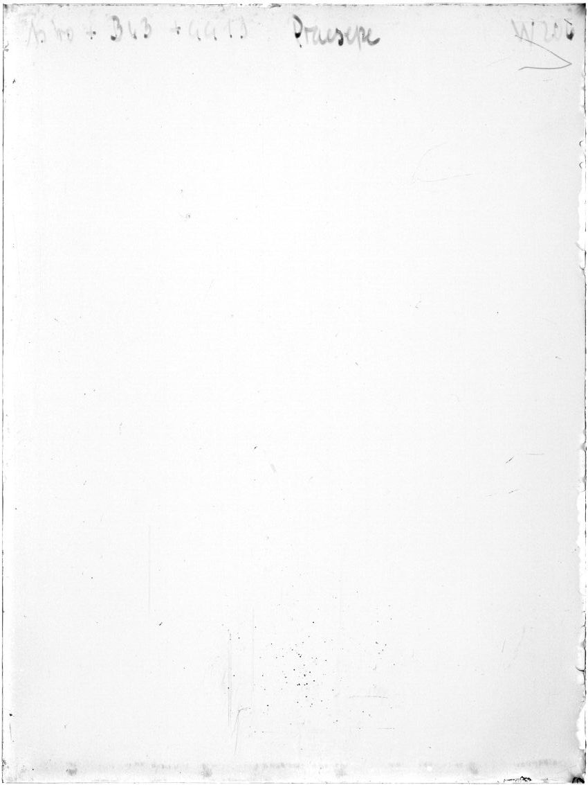 Scan WP00206