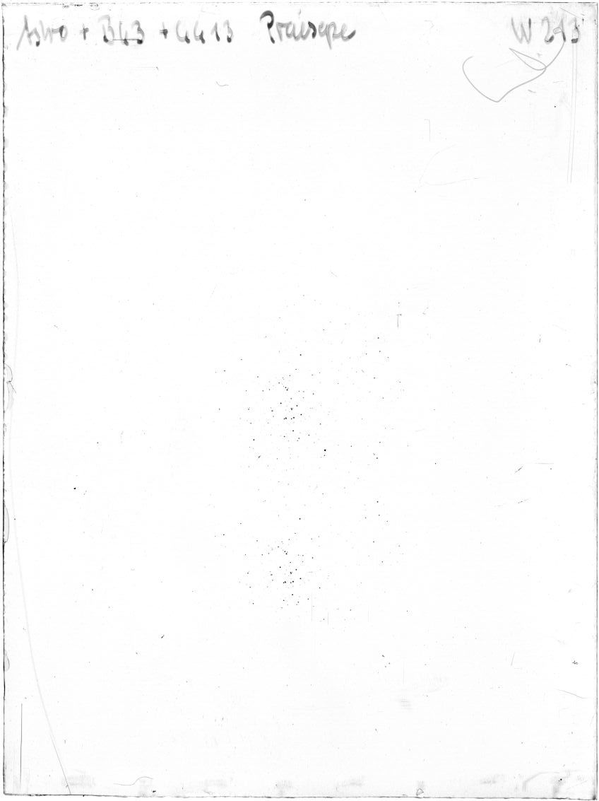 Scan WP00213