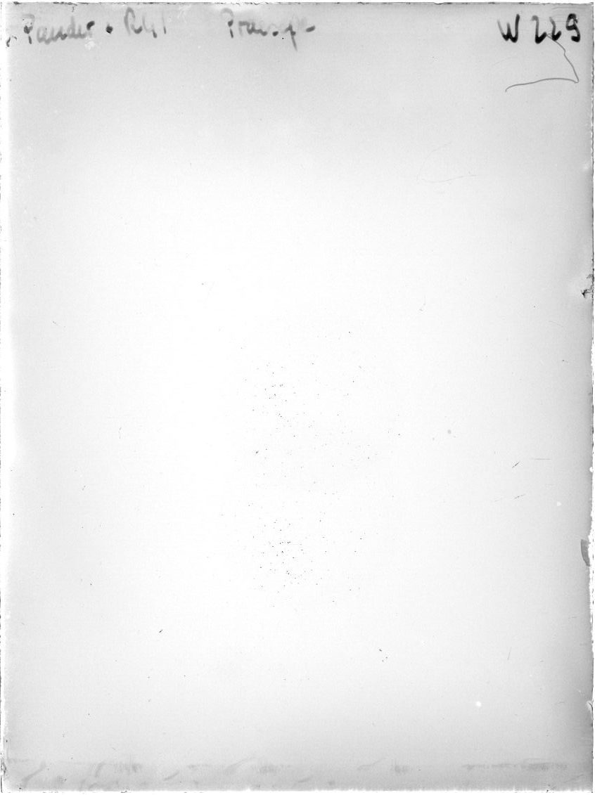 Scan WP00229