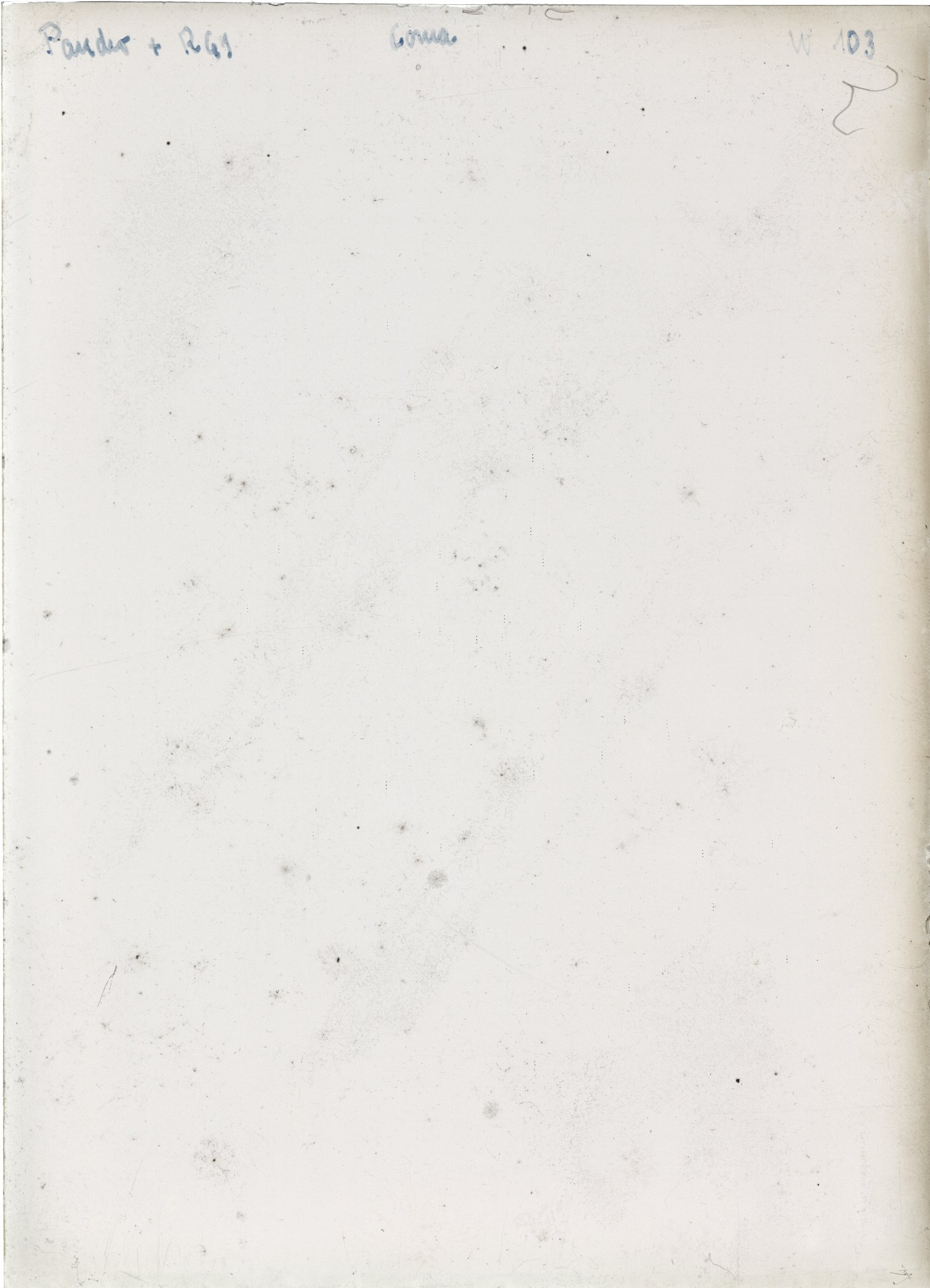 Scan WP00103