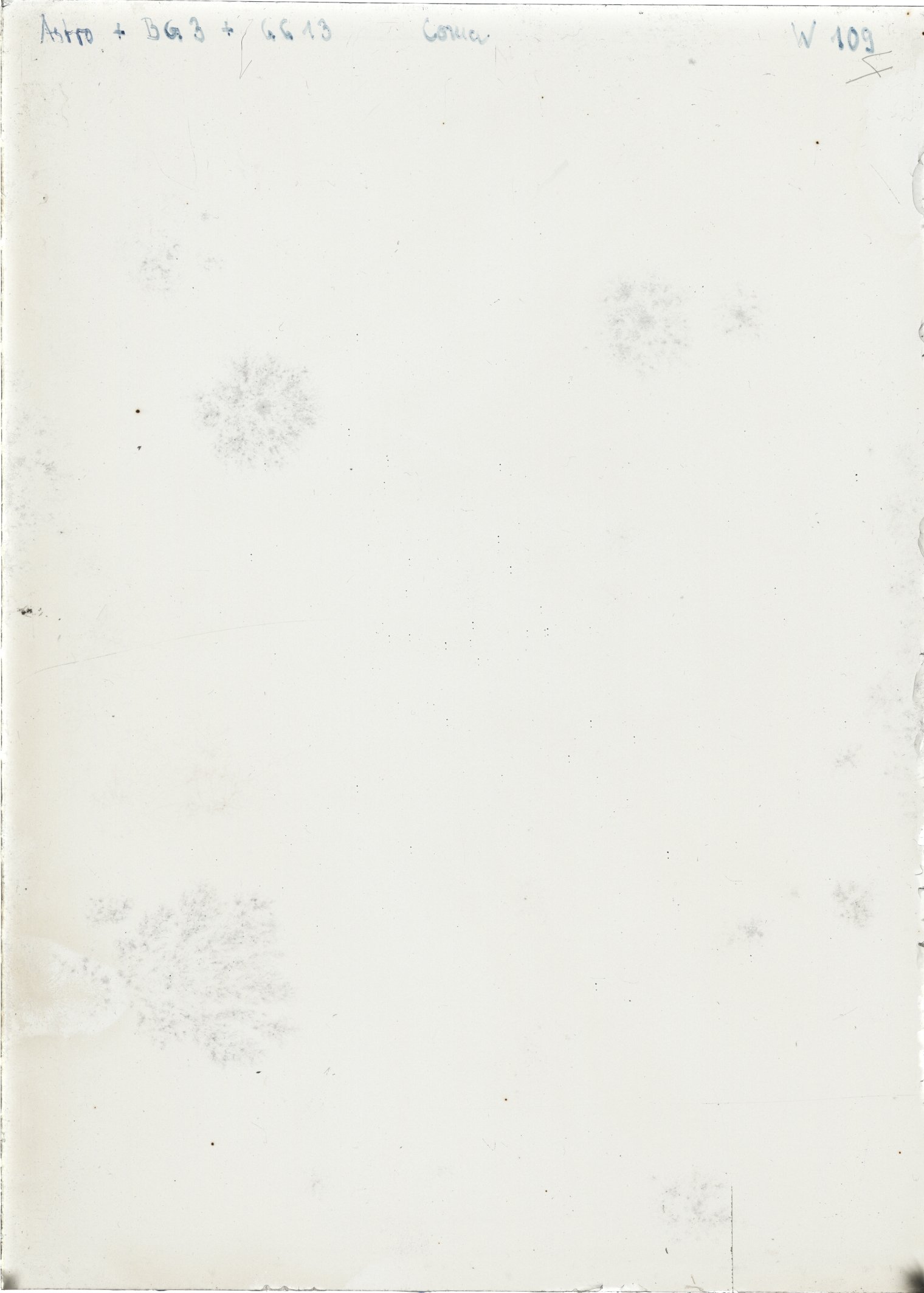 Scan WP00109