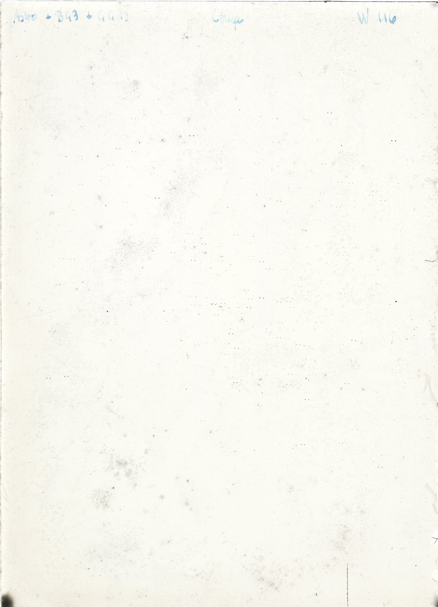 Scan WP00116
