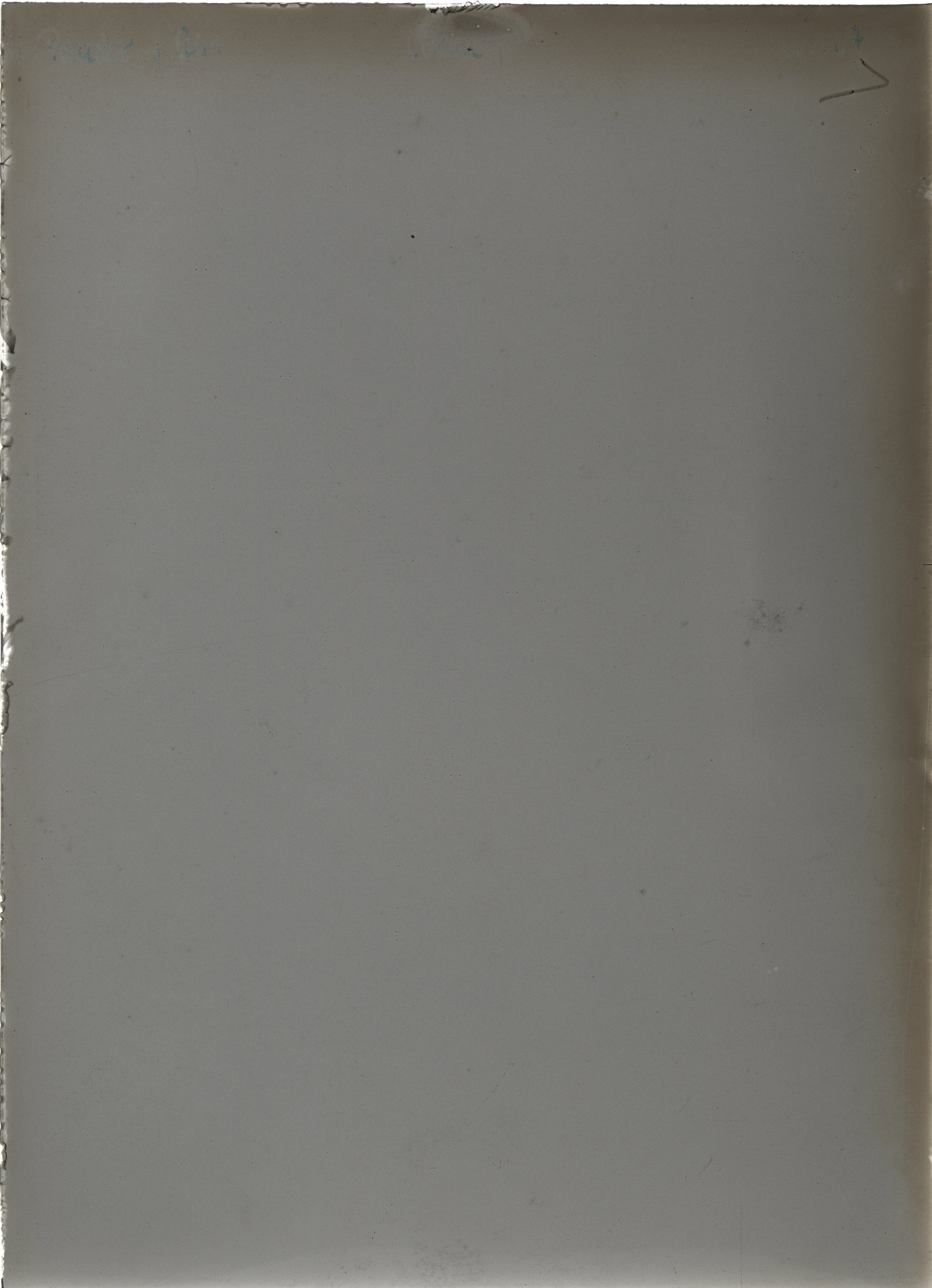Scan WP00137