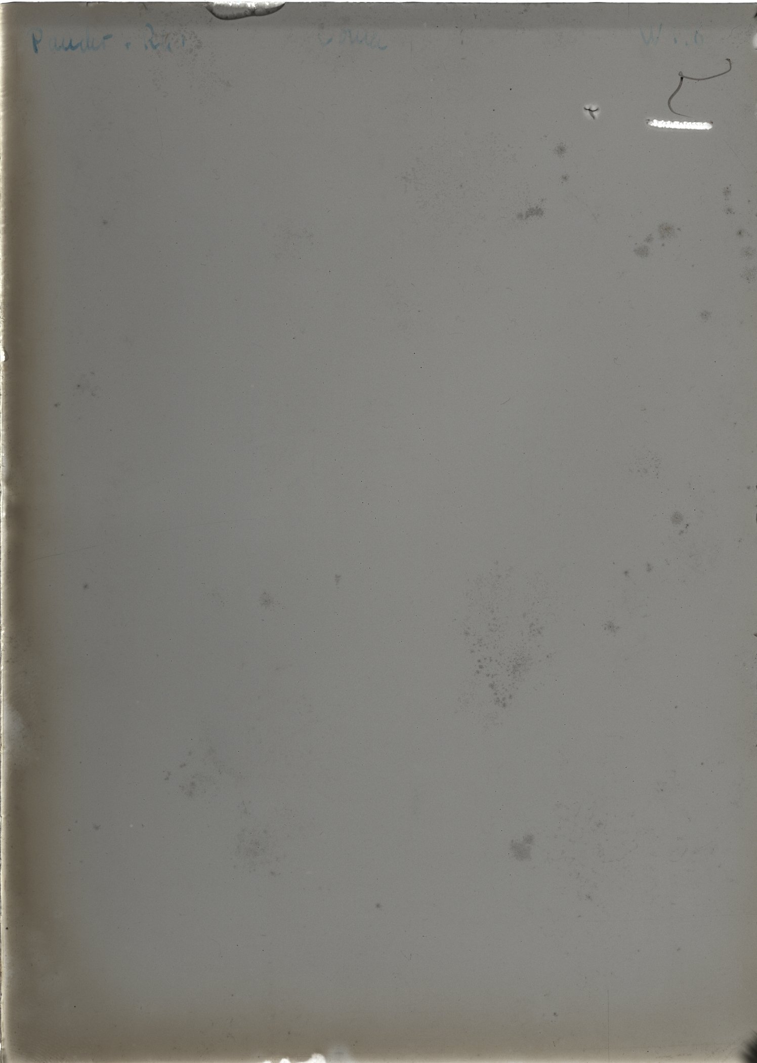 Scan WP00138