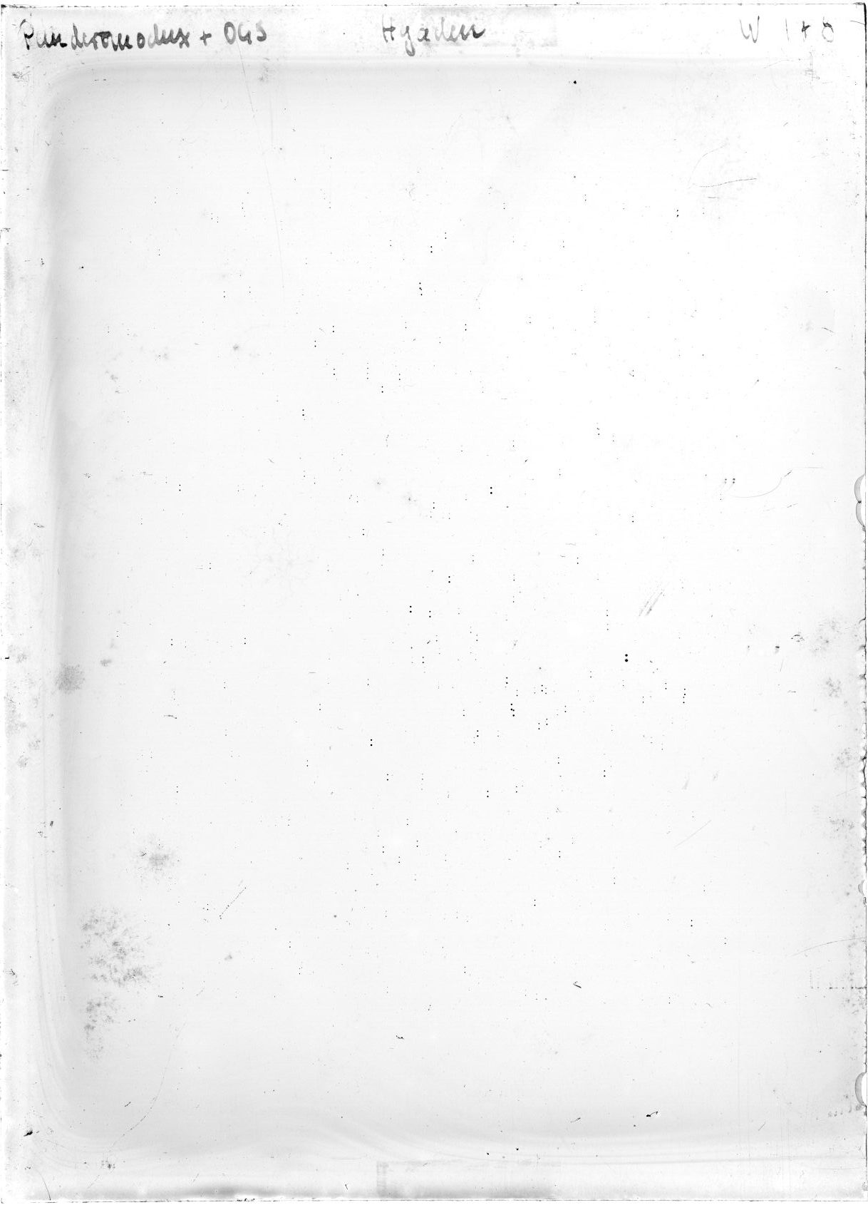 Scan WP00178