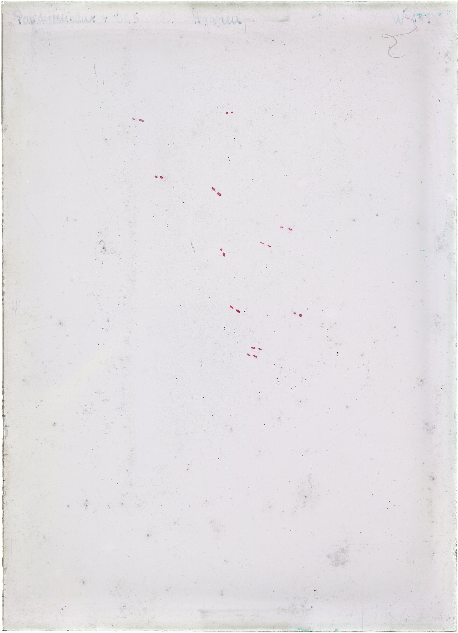 Scan WP00181