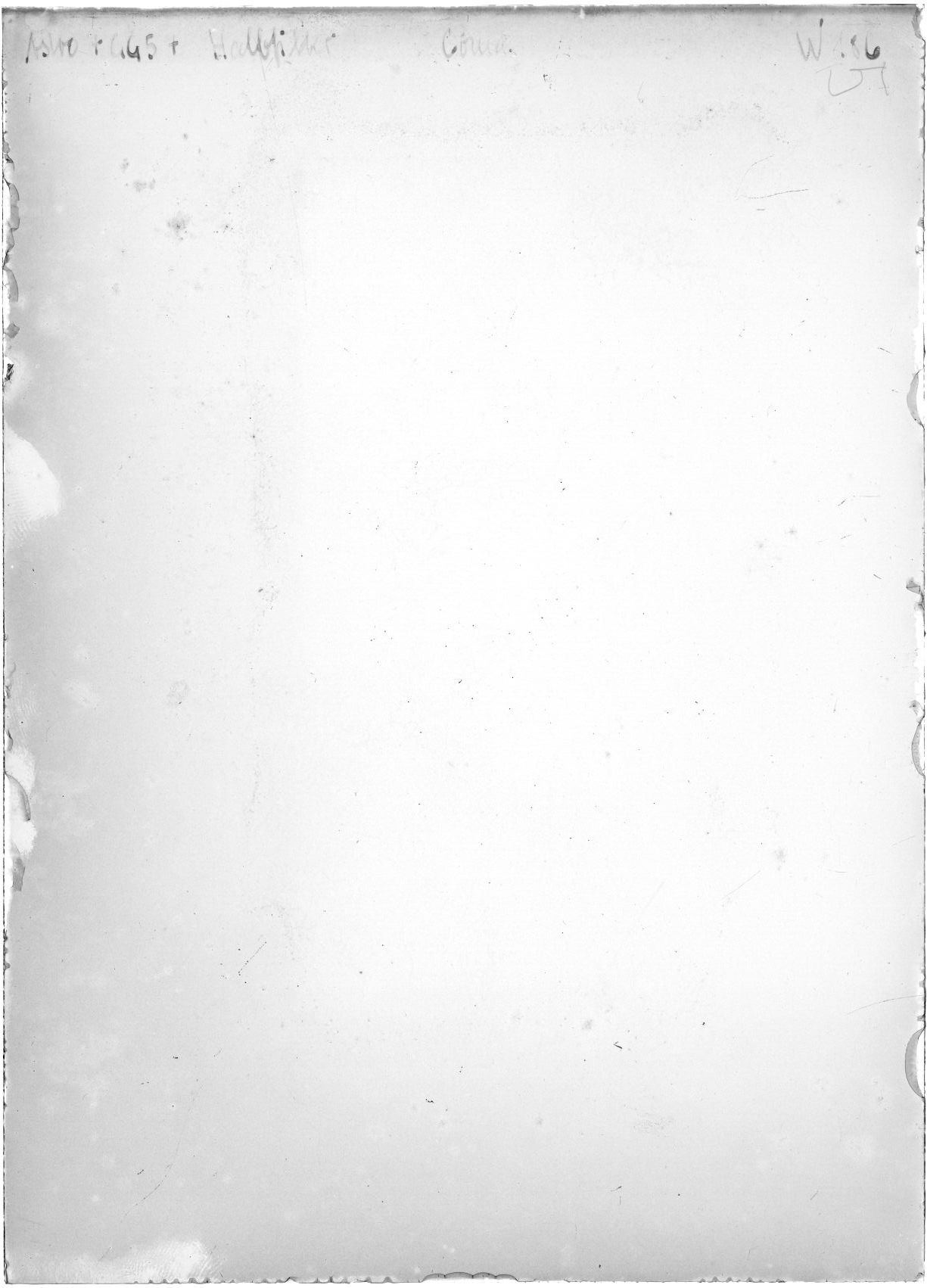 Scan WP00186