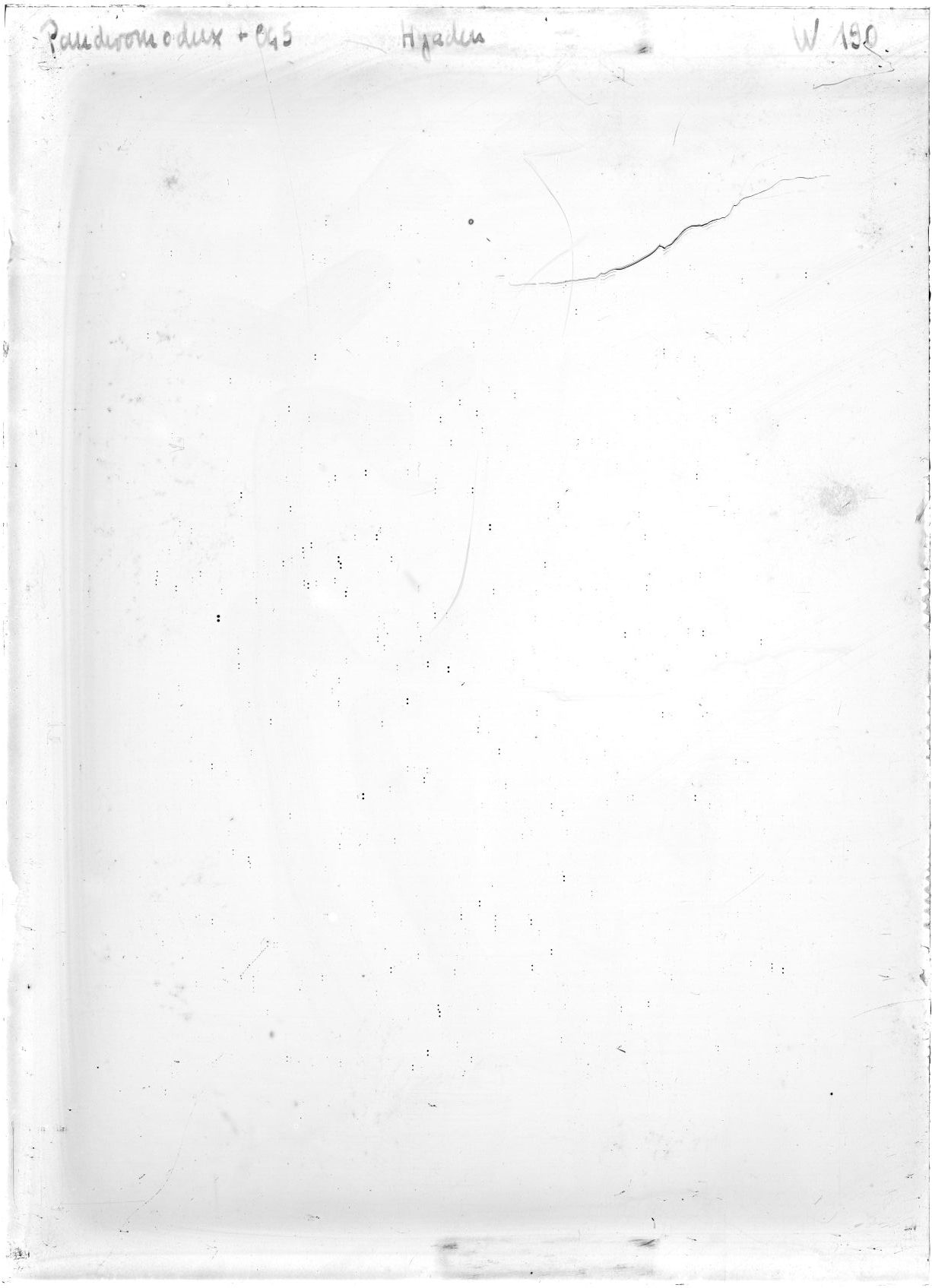 Scan WP00190
