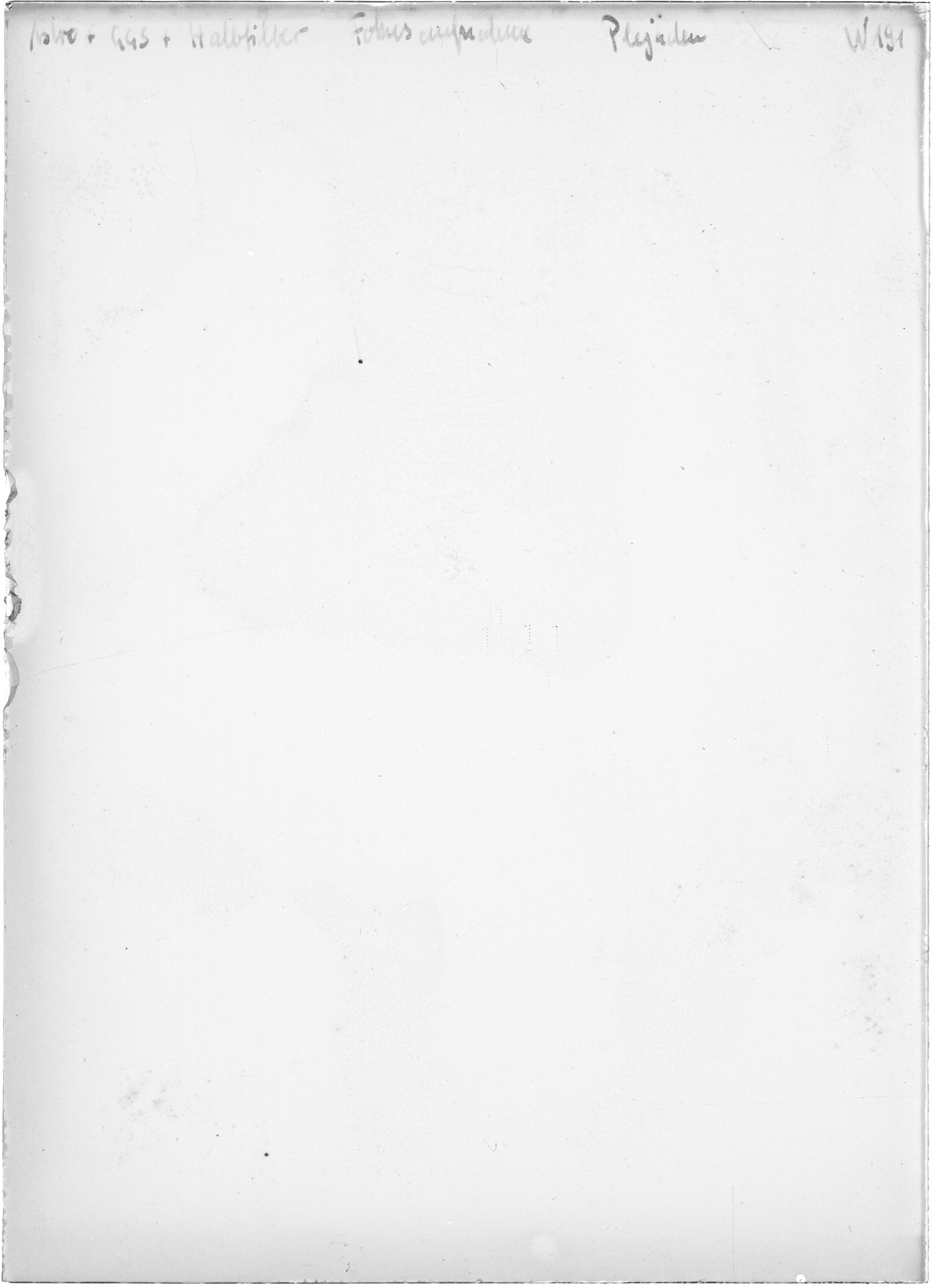 Scan WP00191