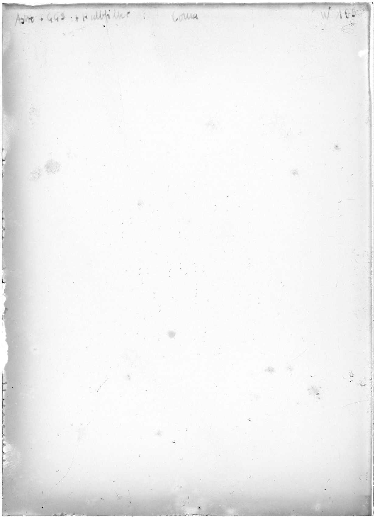 Scan WP00195