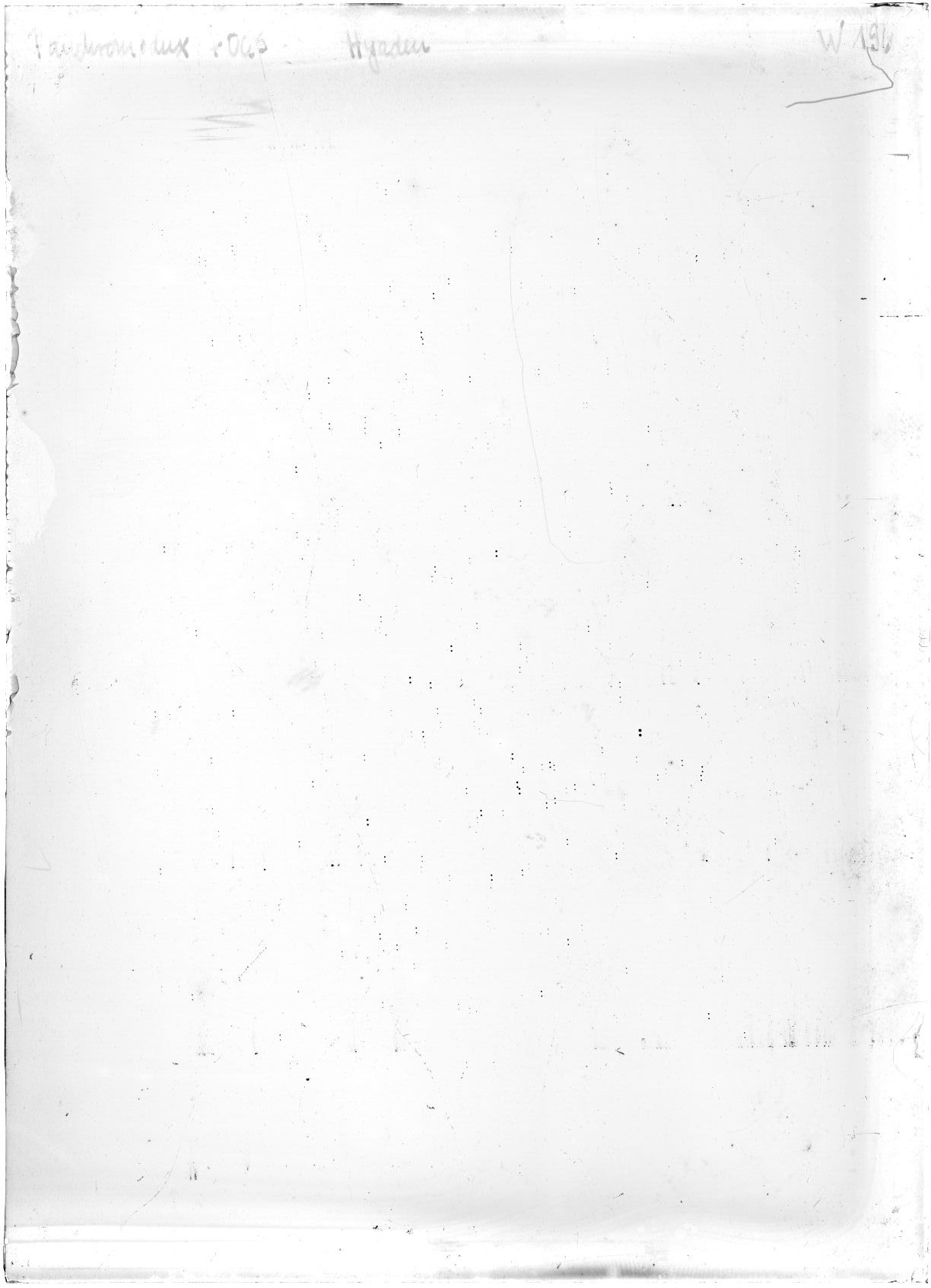 Scan WP00196