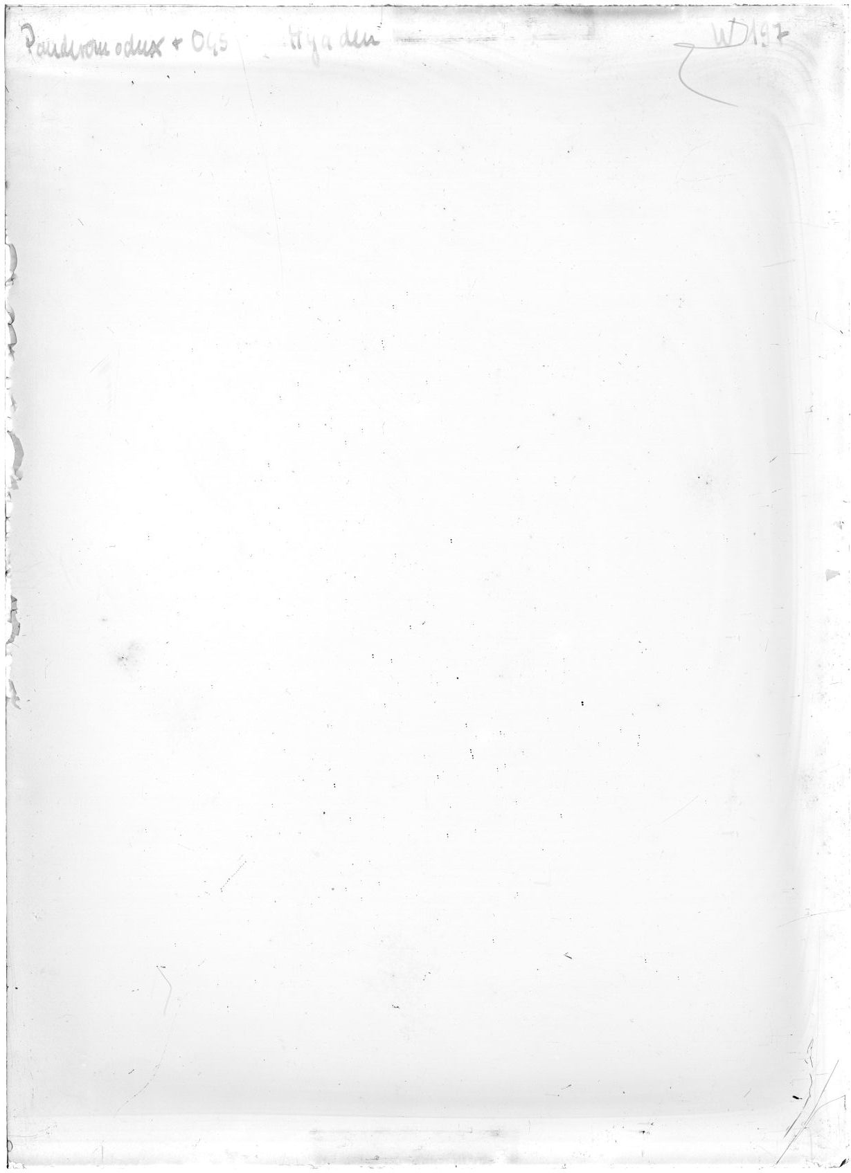 Scan WP00197