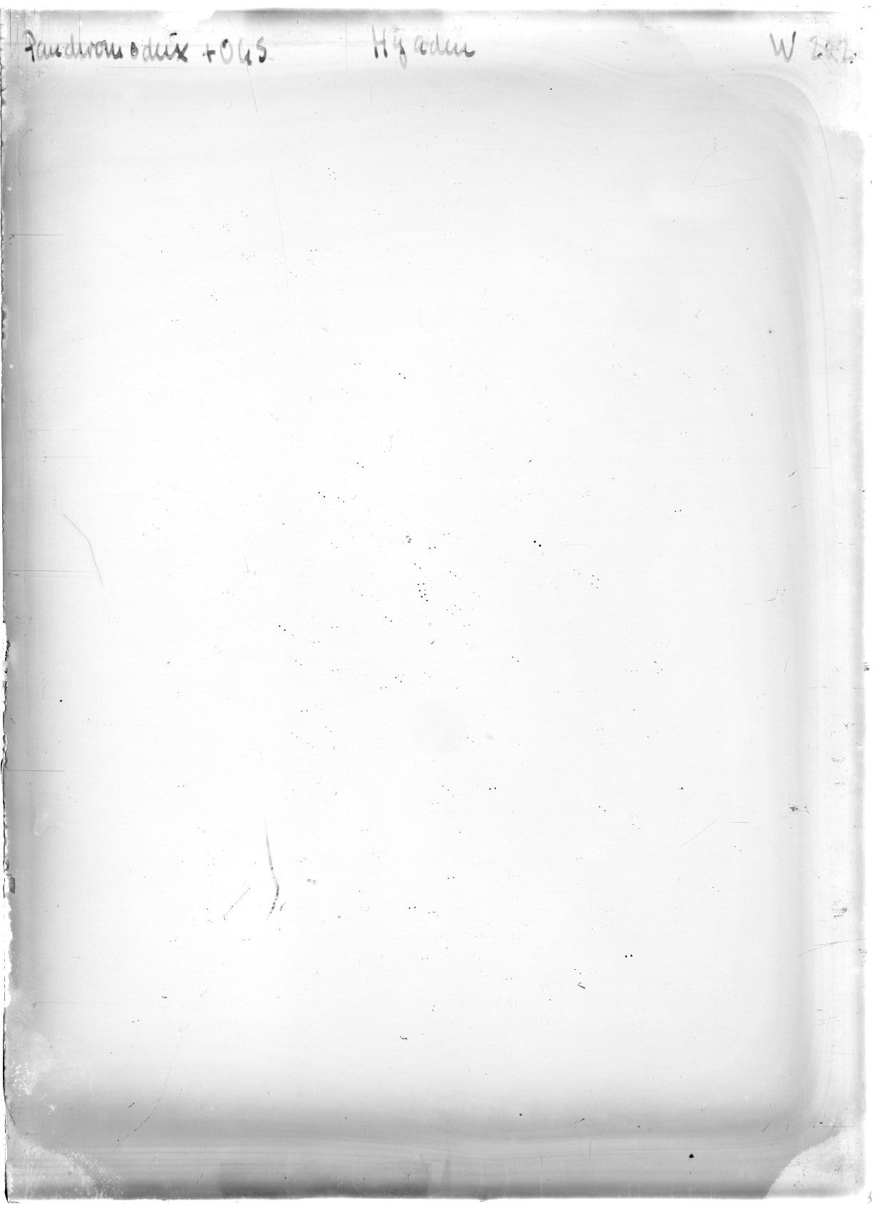 Scan WP00202