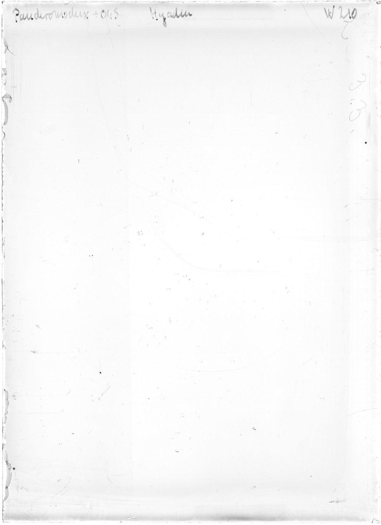 Scan WP00210