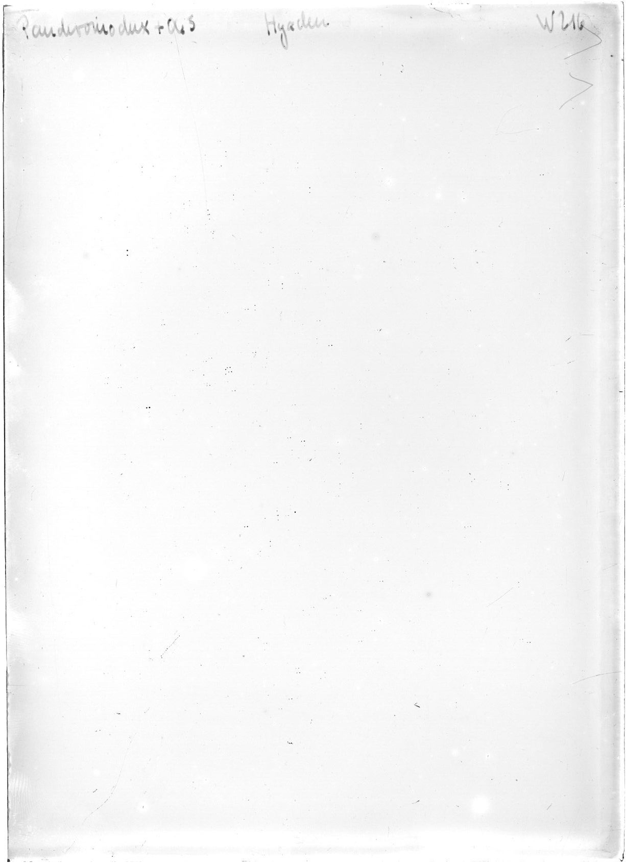 Scan WP00216