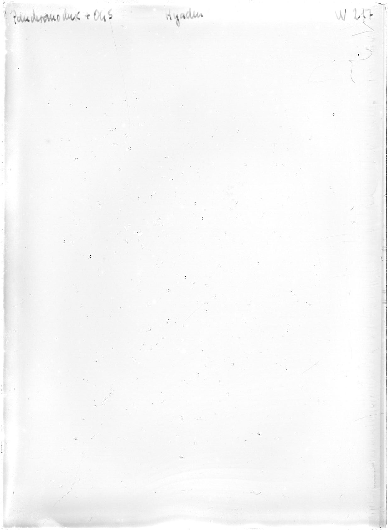 Scan WP00217