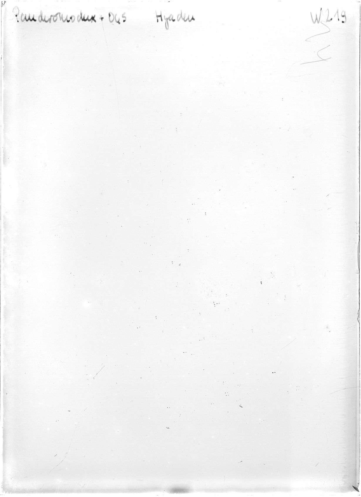 Scan WP00219