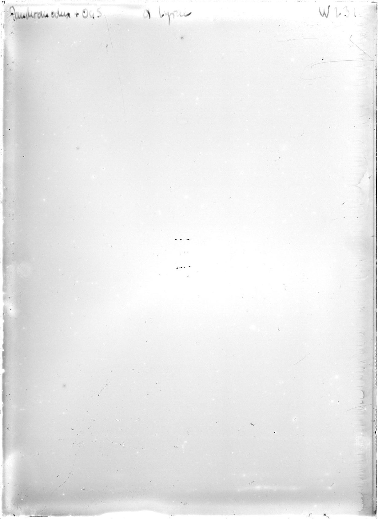Scan WP00231
