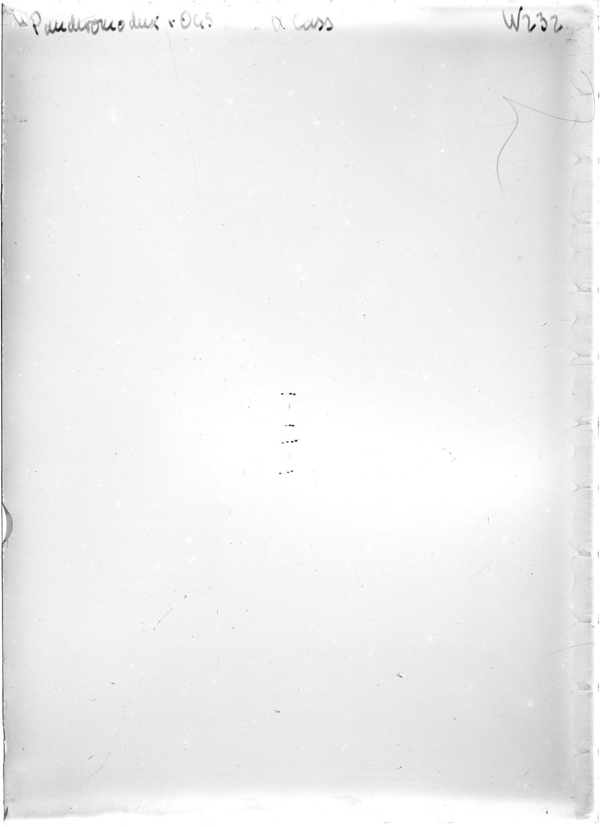 Scan WP00232
