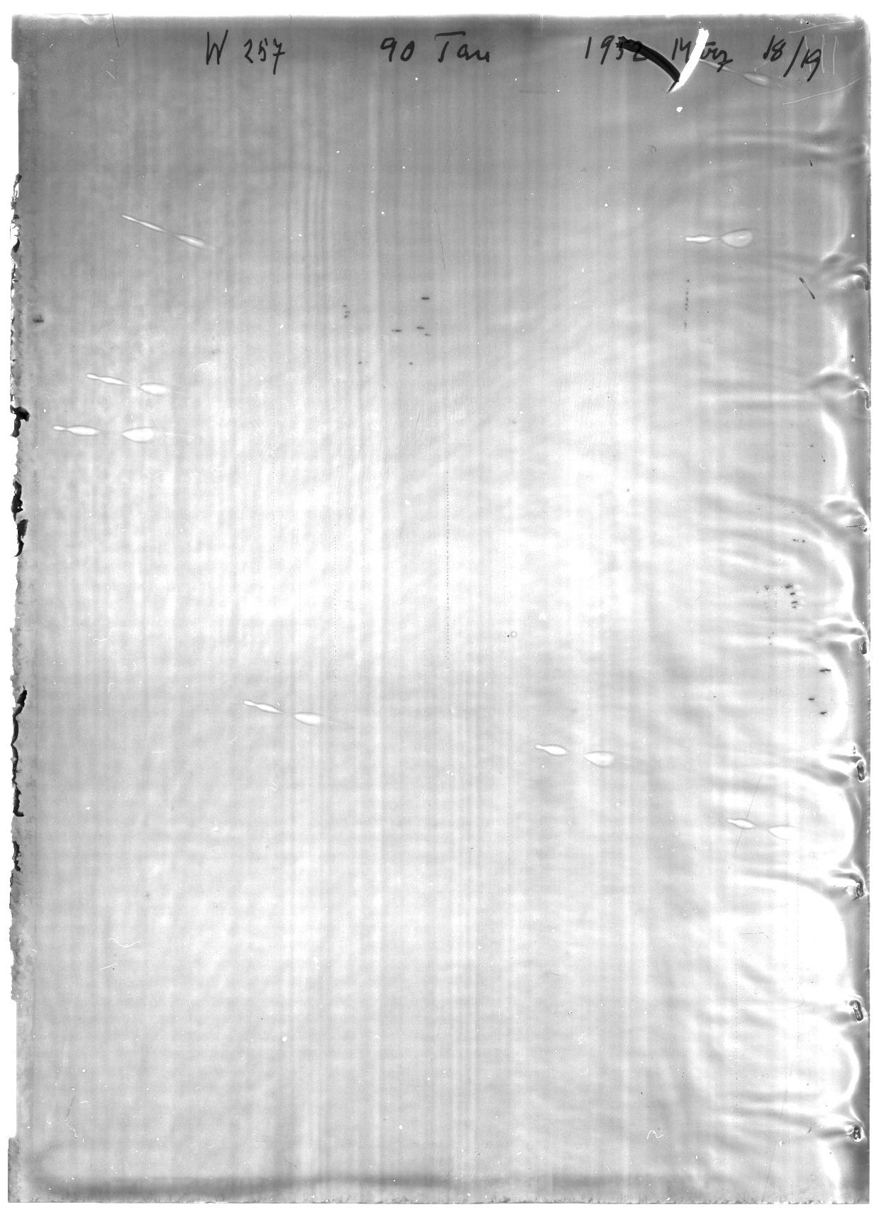 Scan WP00257