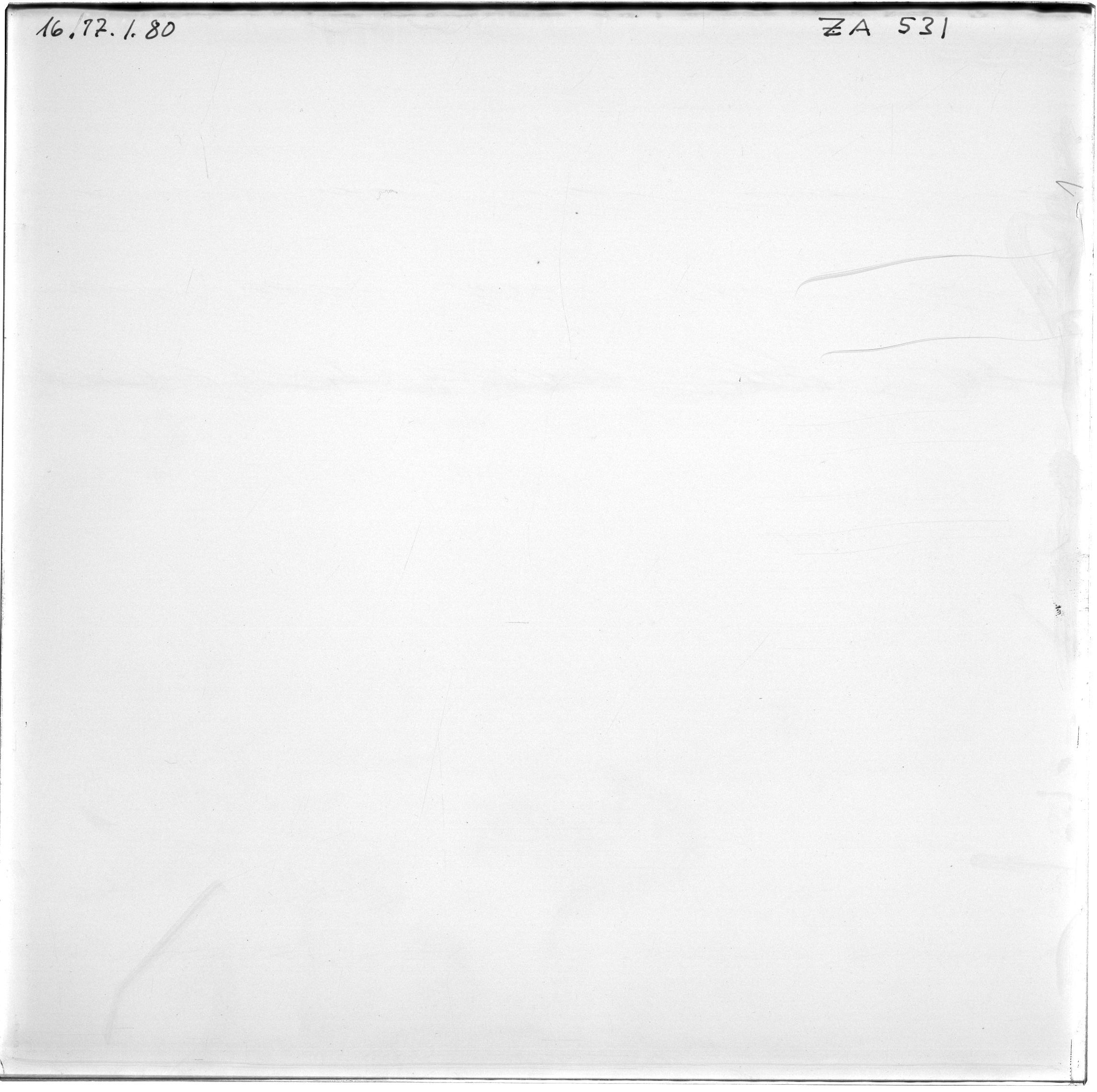 Scan ZA00531