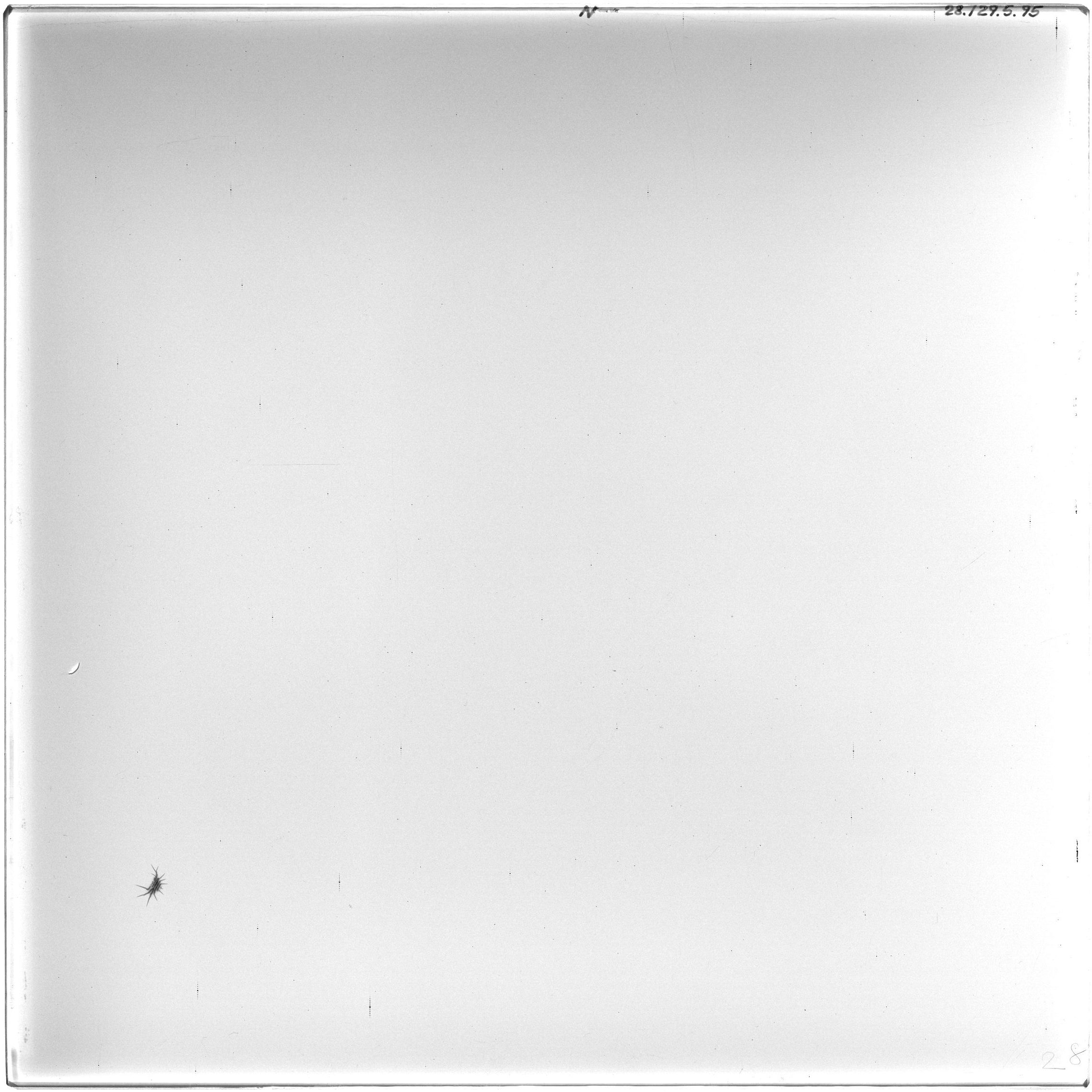 Scan ZAL0028