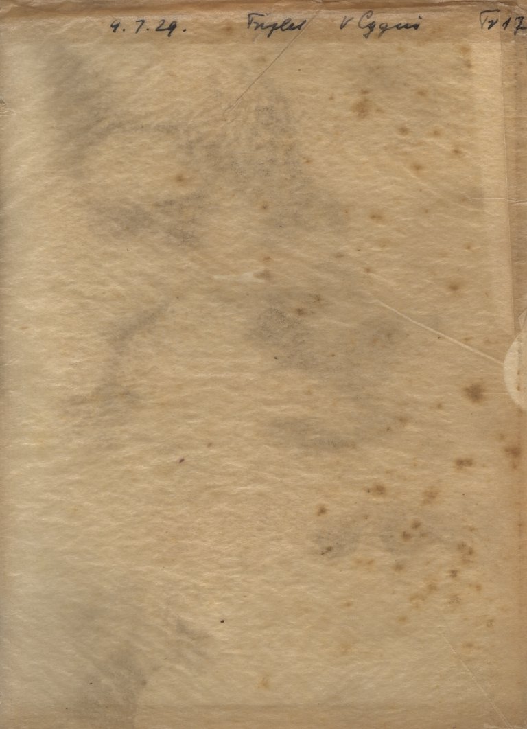 Plattenhuelle GRTr017V